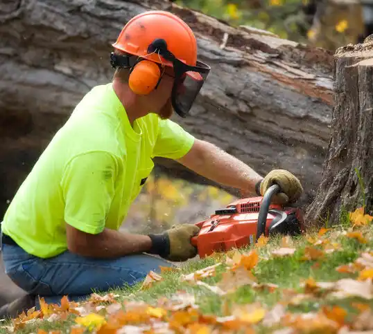 tree services Osino